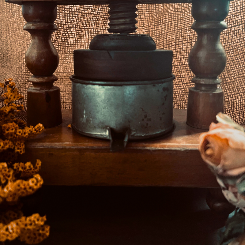 Méthodes d'extraction des huiles végétales à travers l'histoire Image